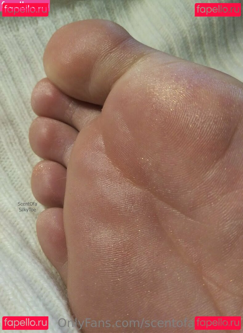 scentofasilkytoe Nude Onlyfans Photo 50