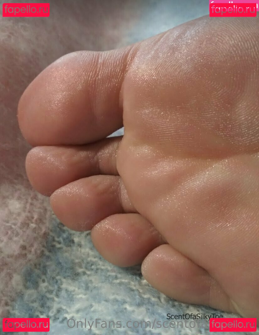 scentofasilkytoe Nude Onlyfans Photo 51
