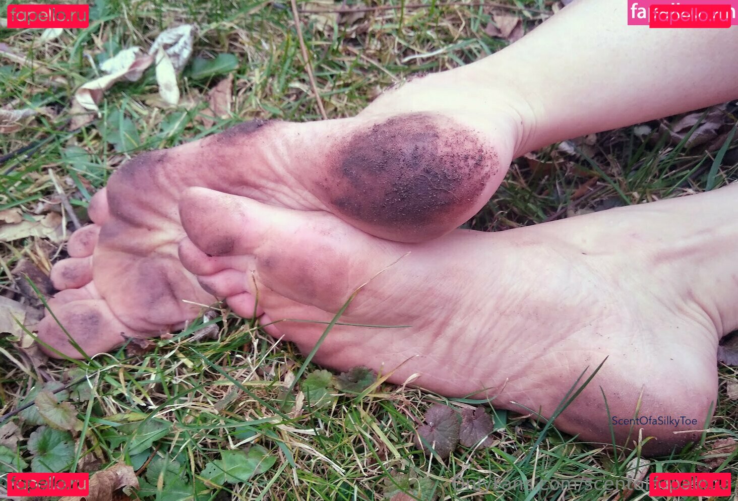 scentofasilkytoe Nude Onlyfans Photo 44