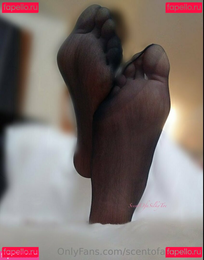 scentofasilkytoe Nude Onlyfans Photo 21
