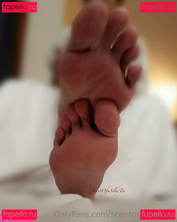 scentofasilkytoe Nude Onlyfans Photo 16