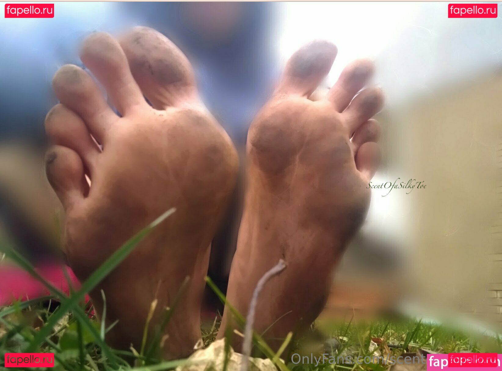scentofasilkytoe Nude Onlyfans Photo 12