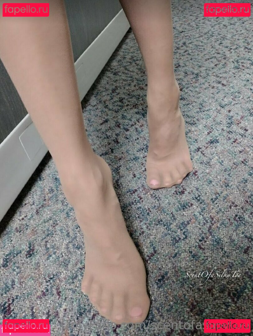 scentofasilkytoe Nude Onlyfans Photo 8