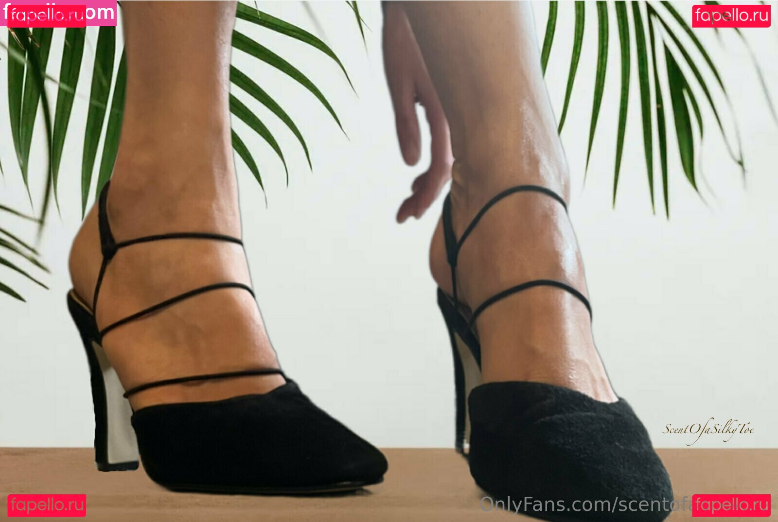 scentofasilkytoe Nude Onlyfans Photo 7