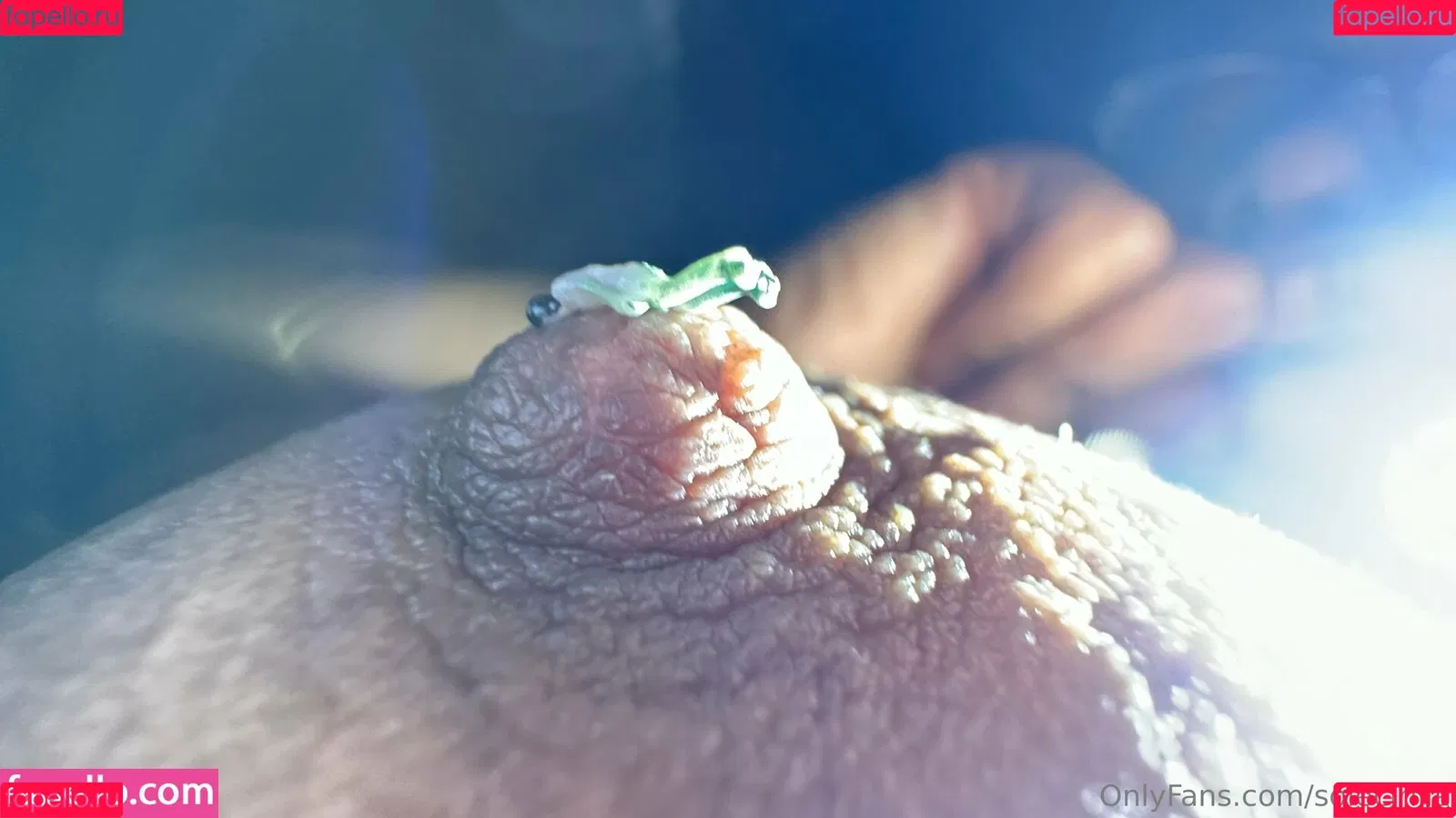 solecirilla Onlyfans Photo Gallery 