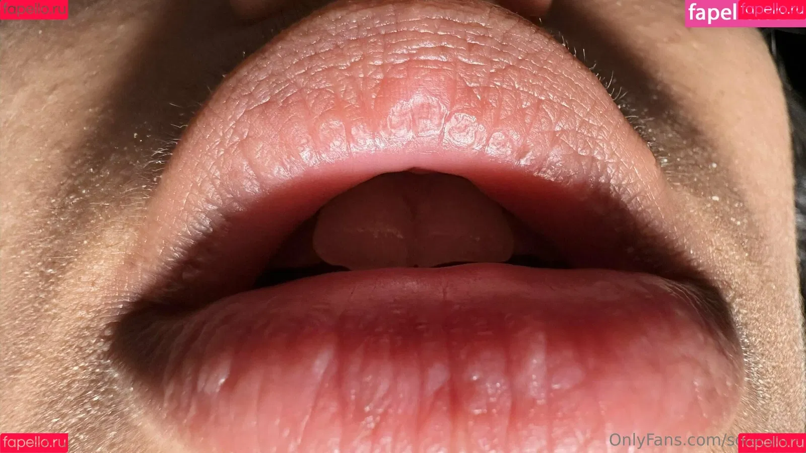 solecirilla Onlyfans Photo Gallery 