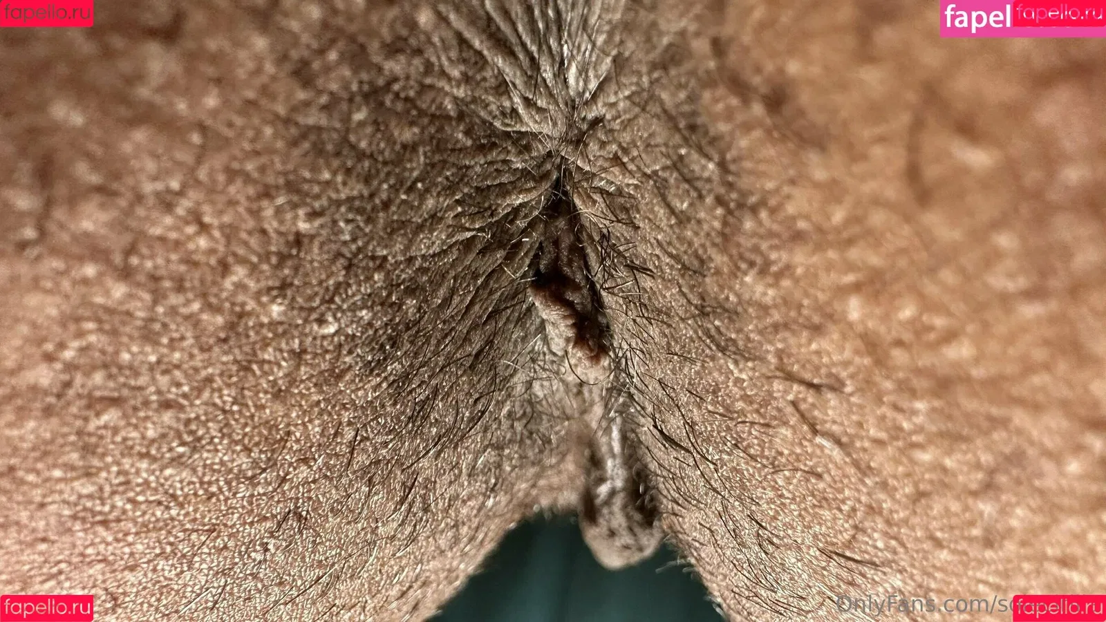 solecirilla Onlyfans Photo Gallery 