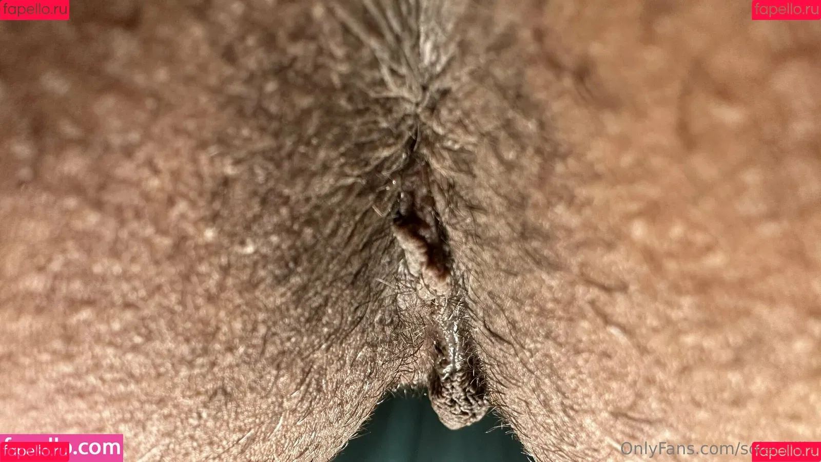 solecirilla Onlyfans Photo Gallery 
