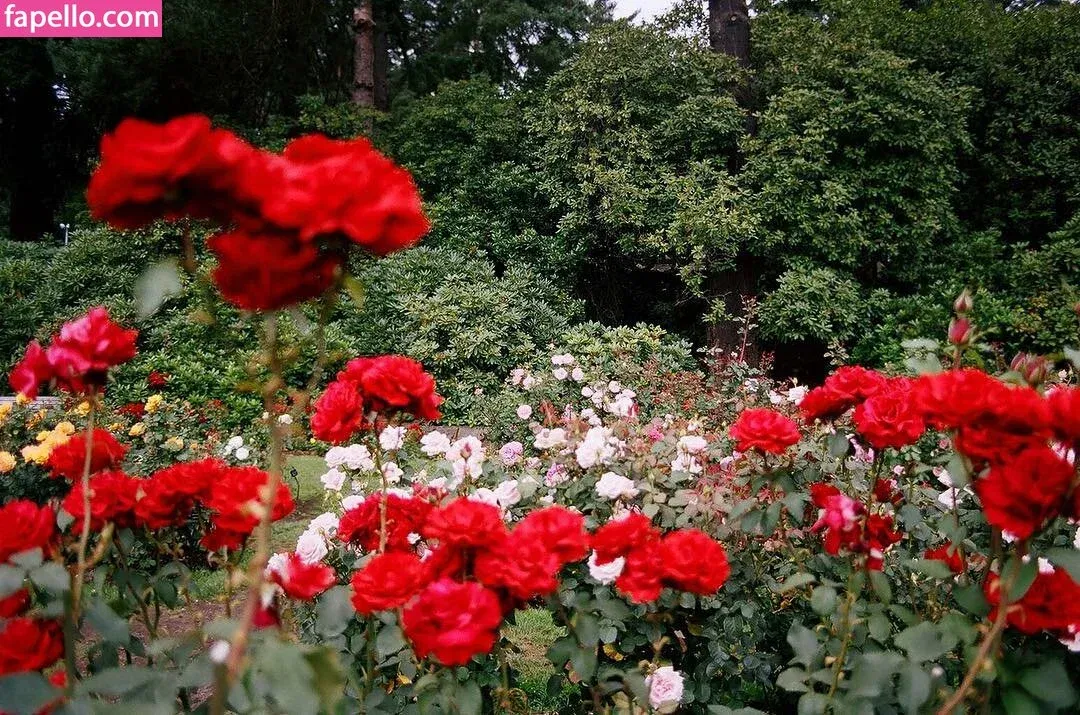 Emma Vauxdevil Onlyfans Photo Gallery 