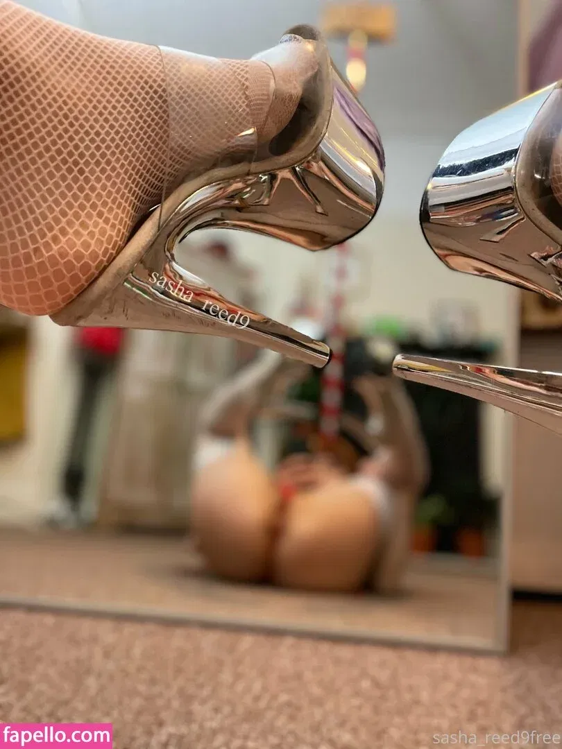 sasha_reed9free Onlyfans Photo Gallery 