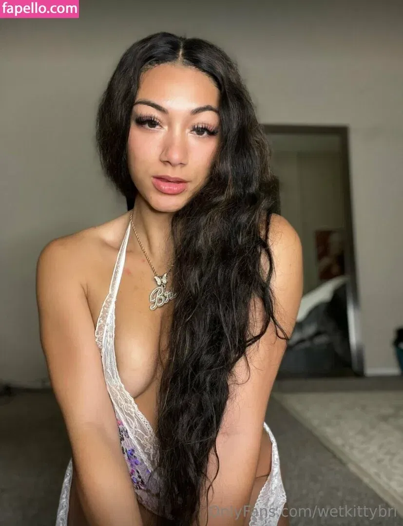 wetkittybri Onlyfans Photo Gallery 