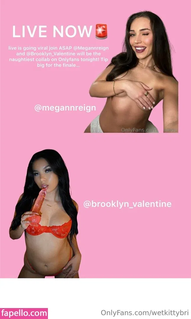 wetkittybri Onlyfans Photo Gallery 