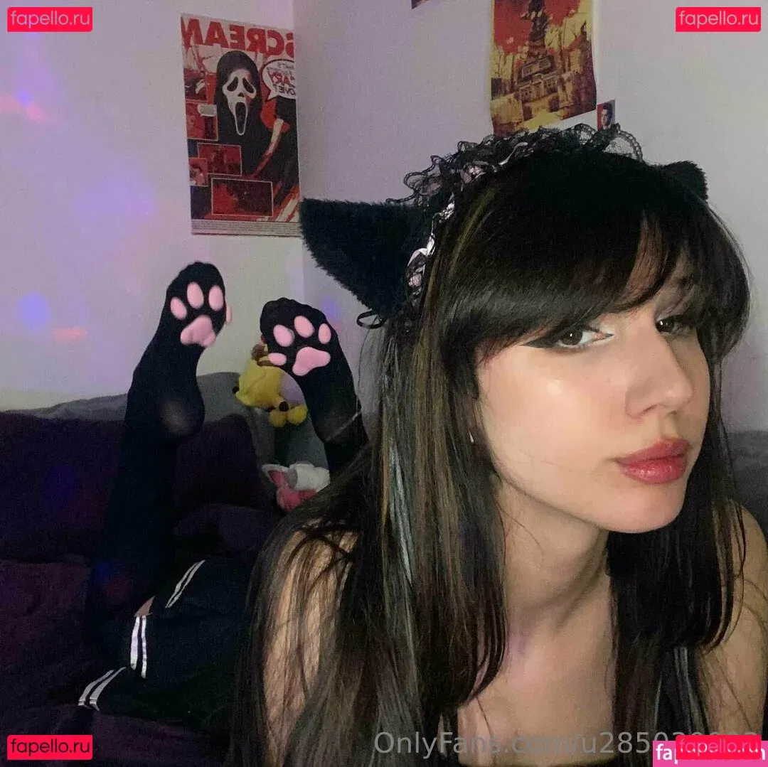 misakivirgin Onlyfans Photo Gallery 