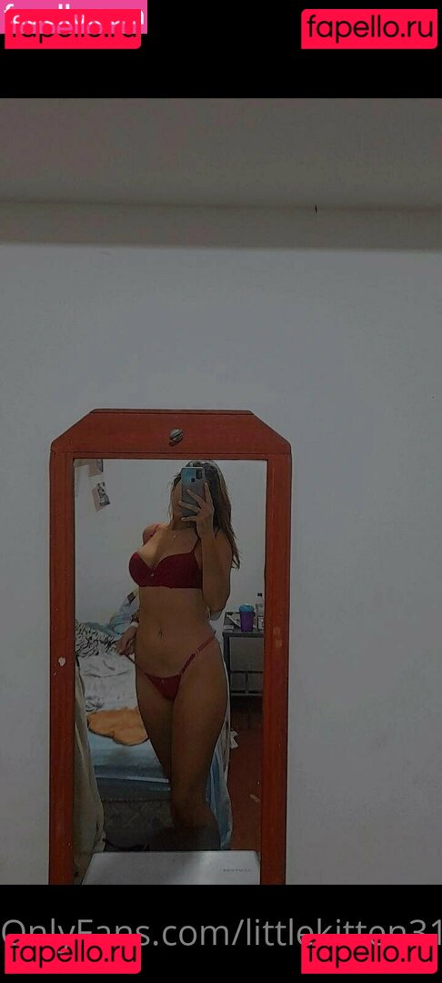 littlekitten31 Nude Onlyfans Photo 35