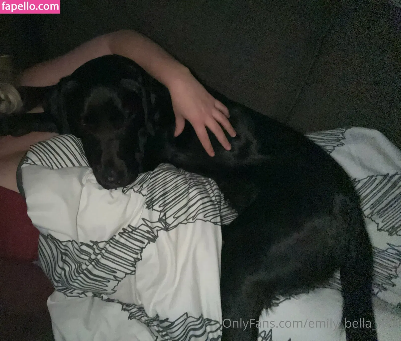 emily_bella_free Onlyfans Photo Gallery 