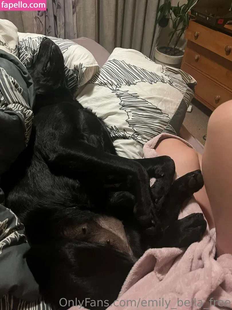 emily_bella_free Onlyfans Photo Gallery 