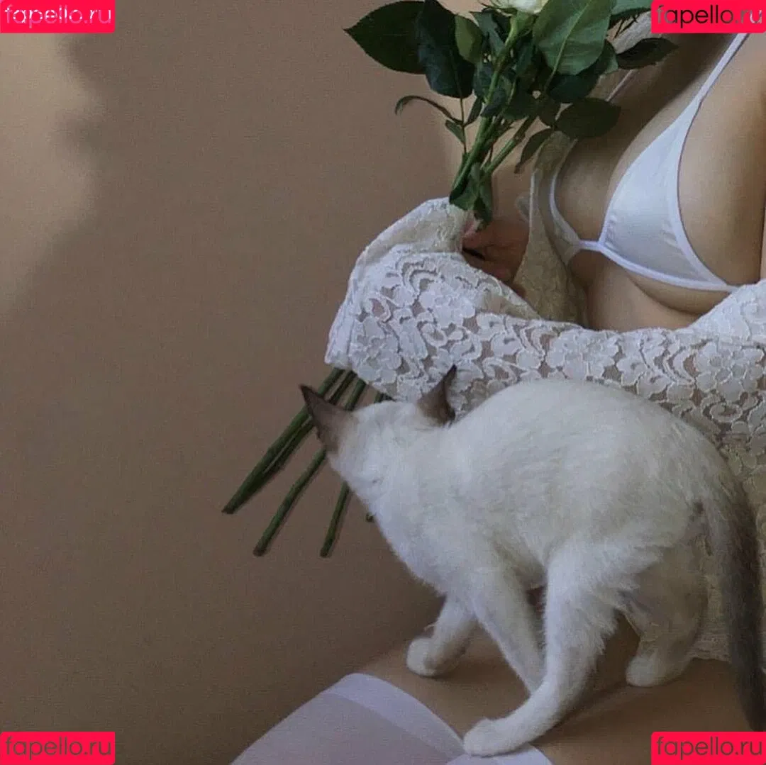 kewlercat Onlyfans Photo Gallery 