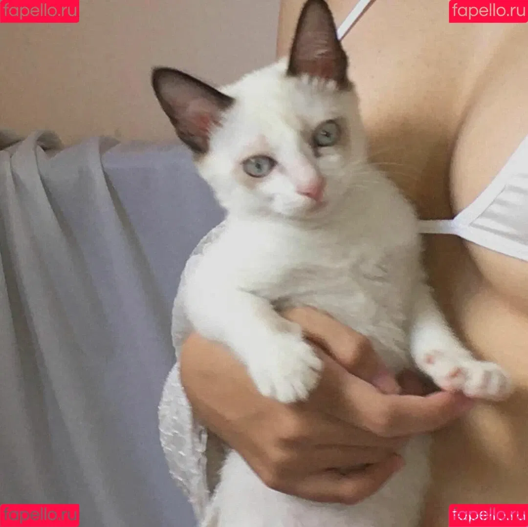 kewlercat Onlyfans Photo Gallery 