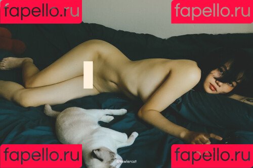 kewlercat Onlyfans Photo Gallery 