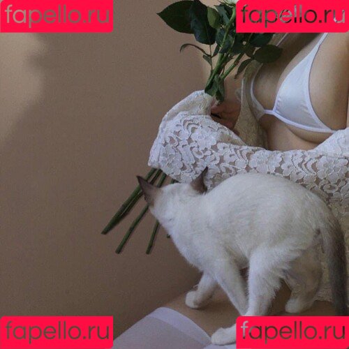 kewlercat Onlyfans Photo Gallery 