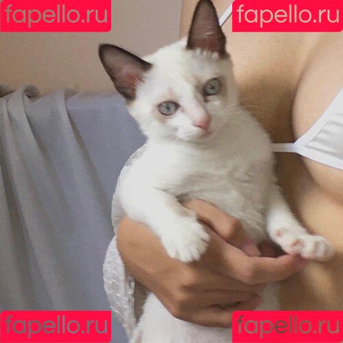 kewlercat Onlyfans Photo Gallery 