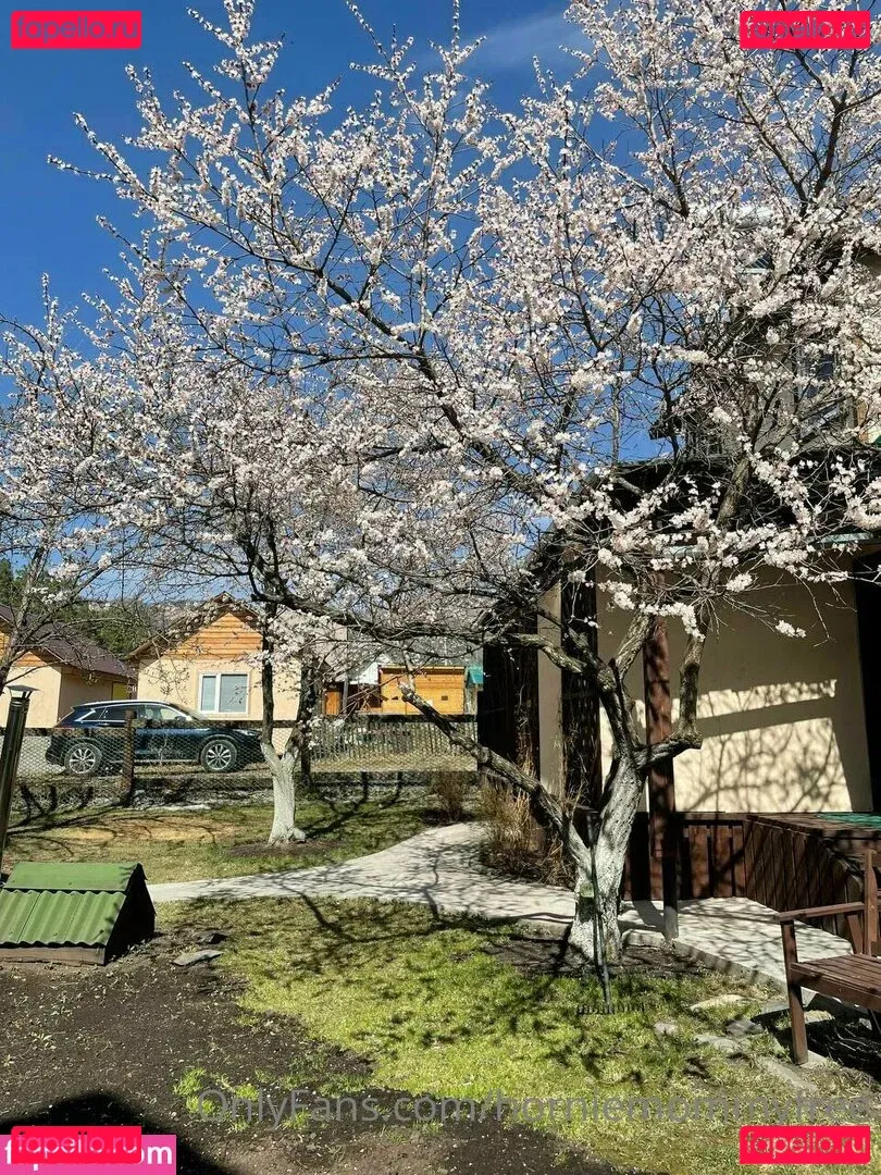 deep_alisa Onlyfans Photo Gallery 