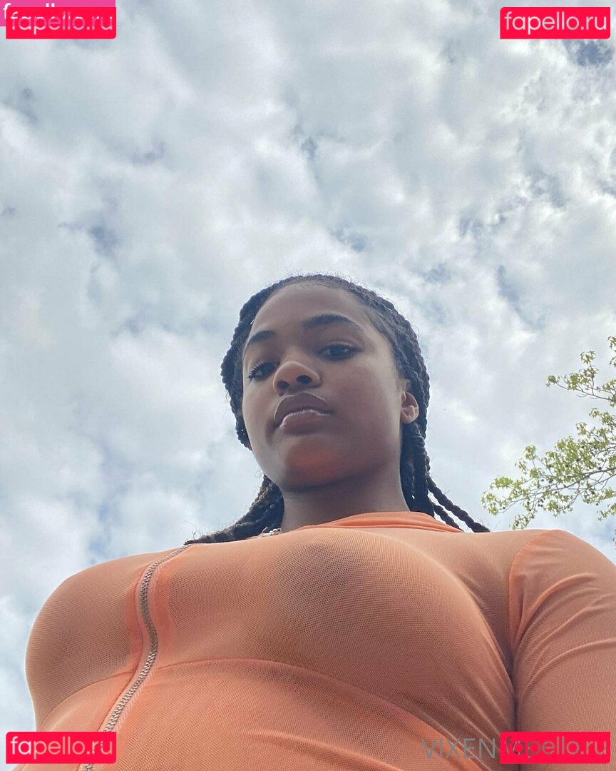 vixenmendee Nude Onlyfans Photo 3