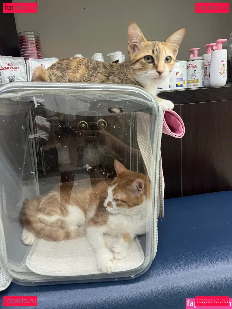 ZinieQ Onlyfans Photo Gallery 