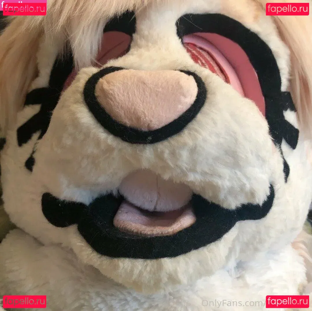 PDoctress Onlyfans Photo Gallery 