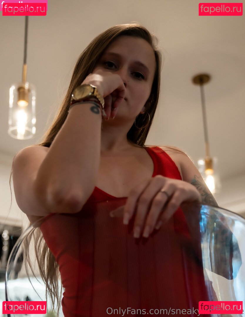 sneakylinks_free Nude Onlyfans Photo 27
