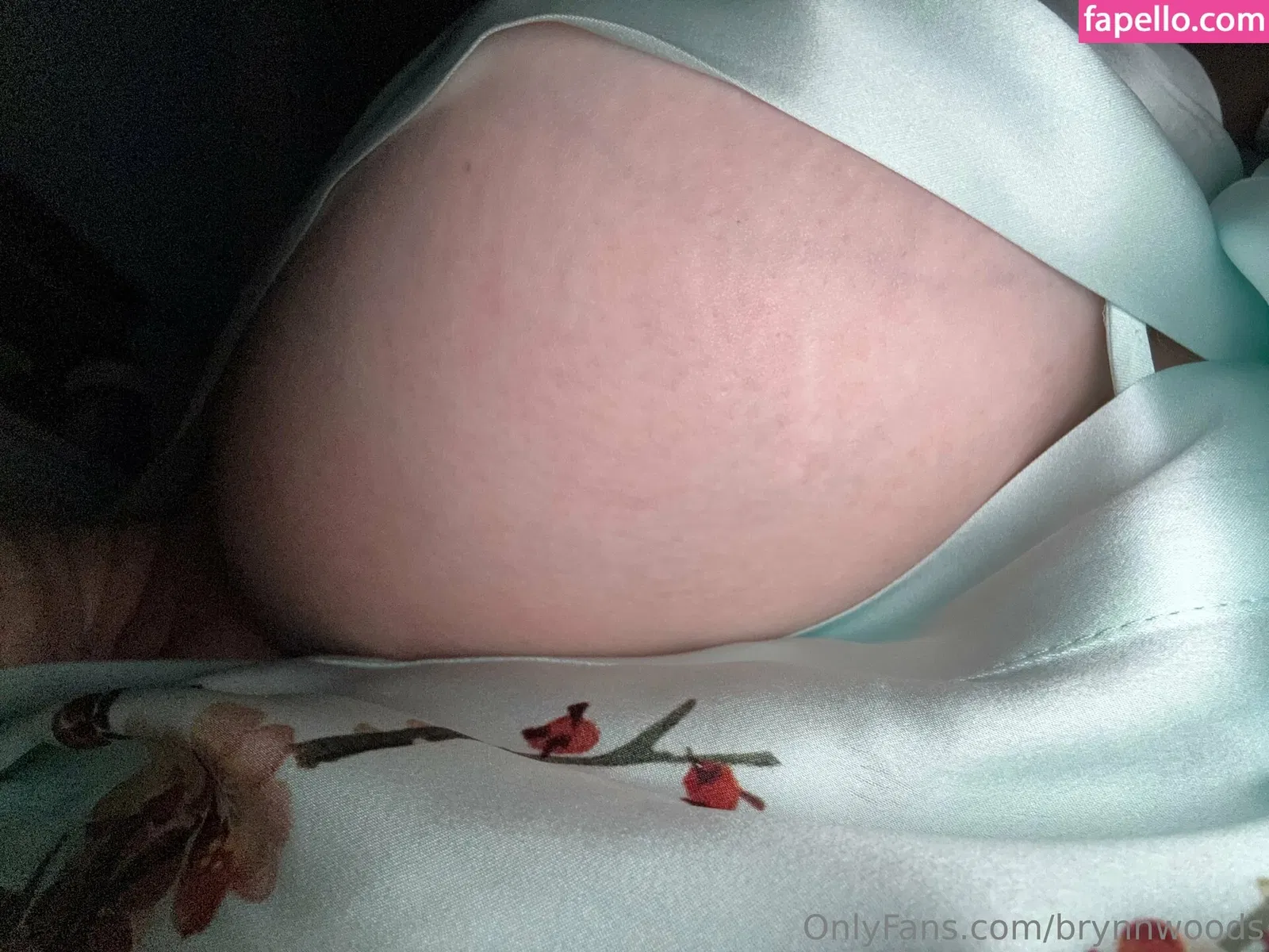 brynnwoods Onlyfans Photo Gallery 