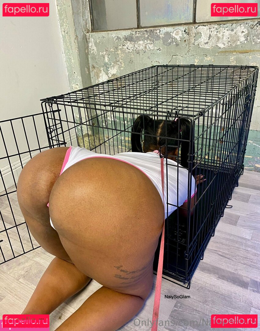 naiysoglamfree Nude Onlyfans Photo 27