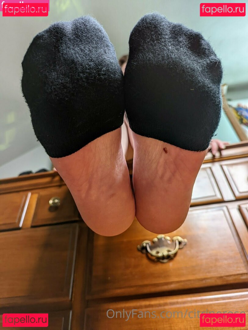 citrinerose Nude Onlyfans Photo 42