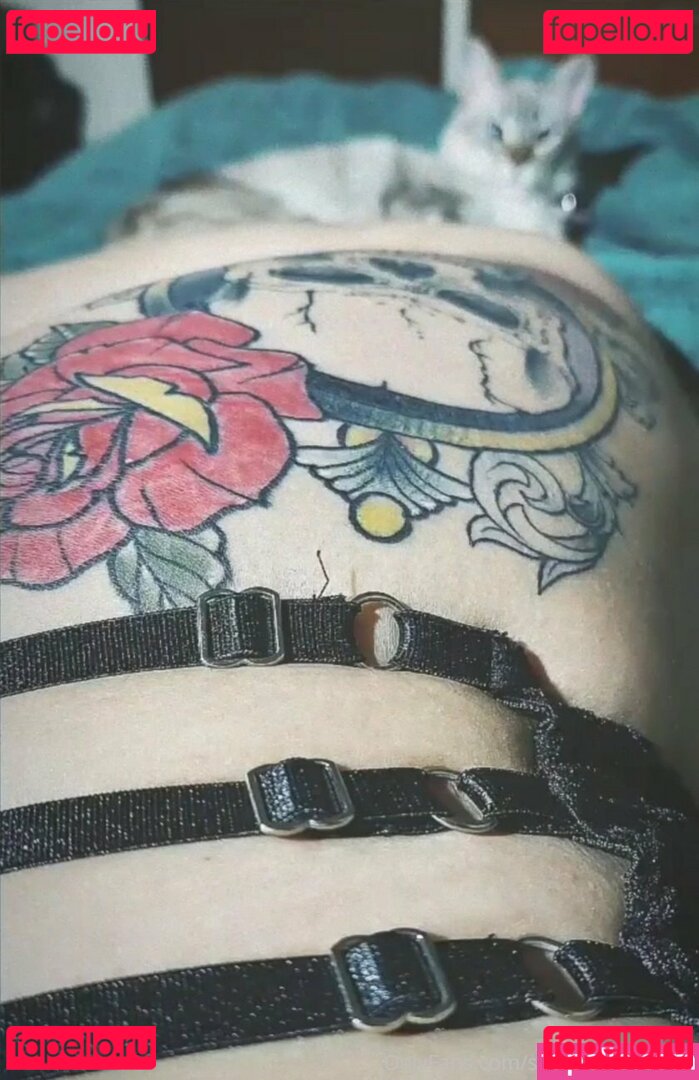 laraboxxx Nude Onlyfans Photo 8