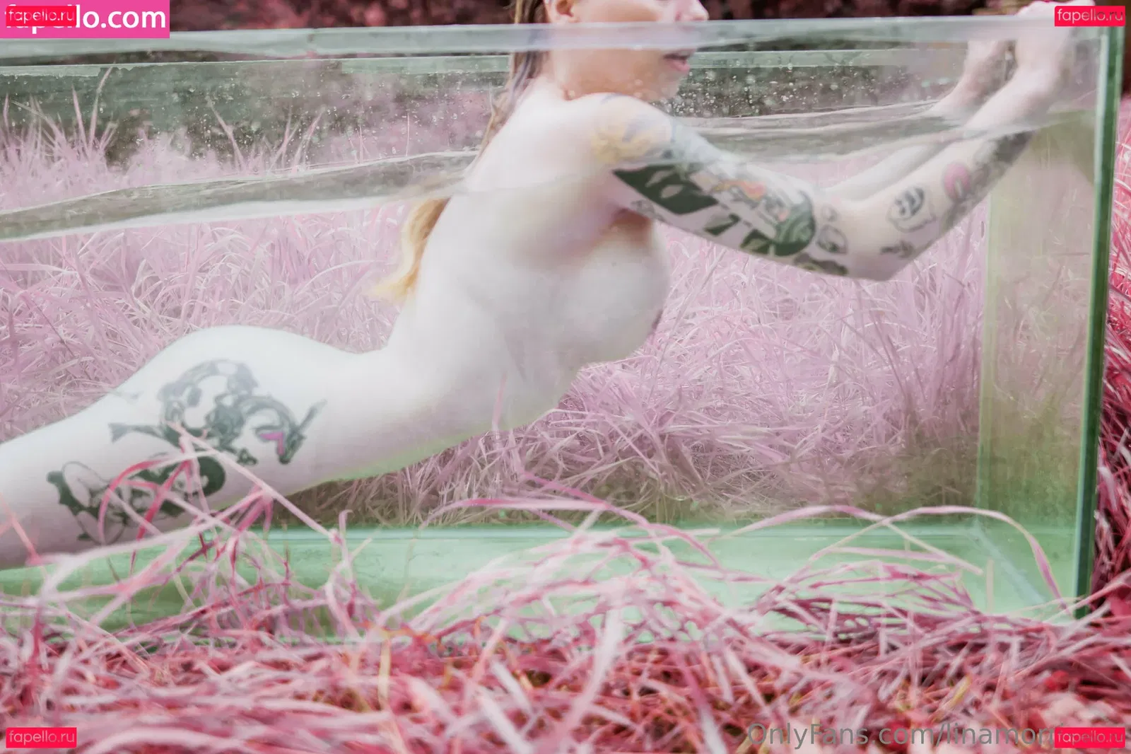 linamorrissey Onlyfans Photo Gallery 