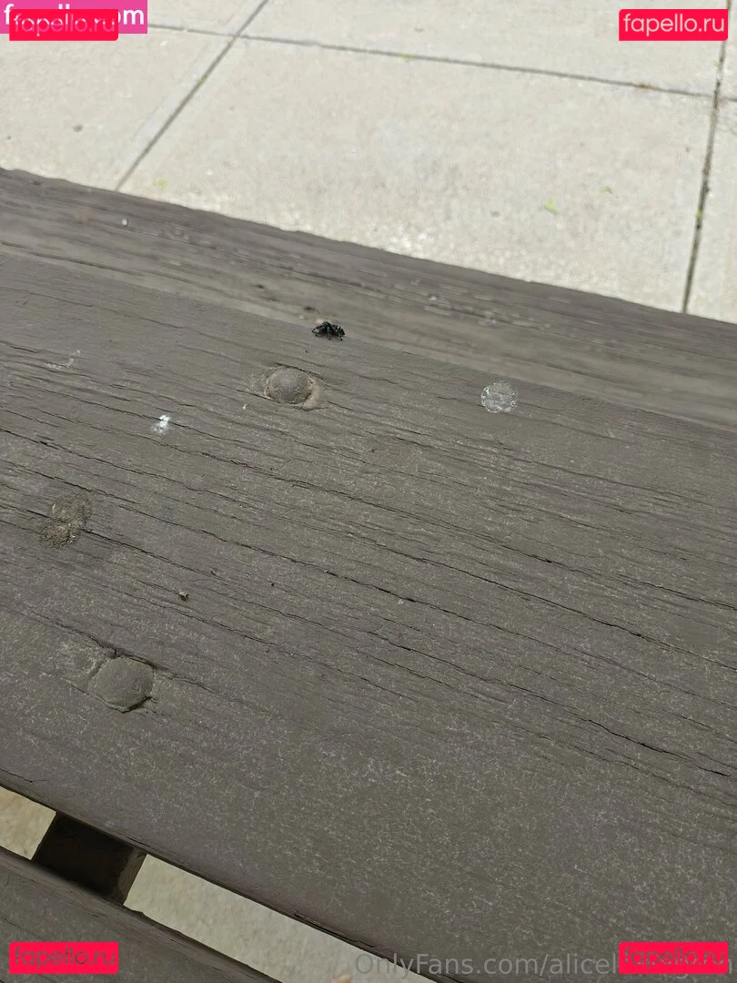 alicelexington Onlyfans Photo Gallery 