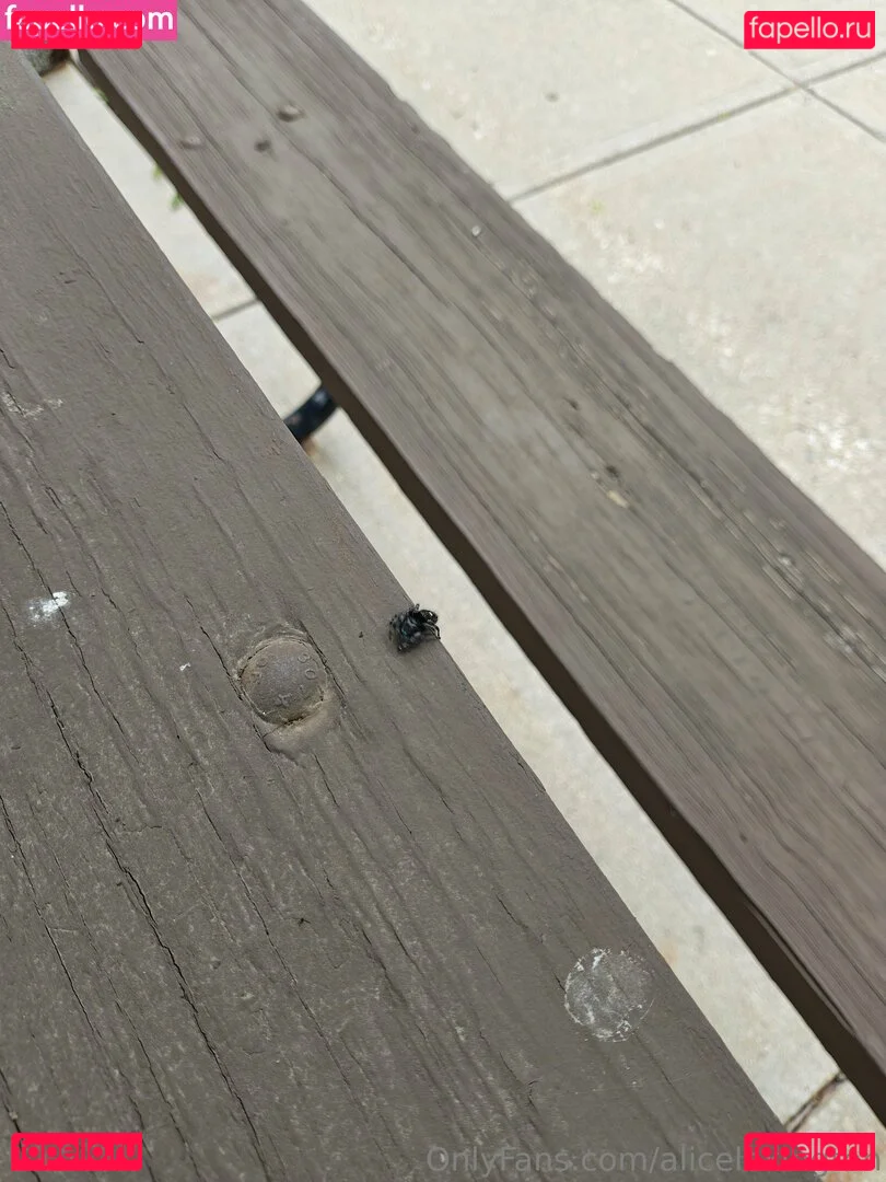 alicelexington Onlyfans Photo Gallery 