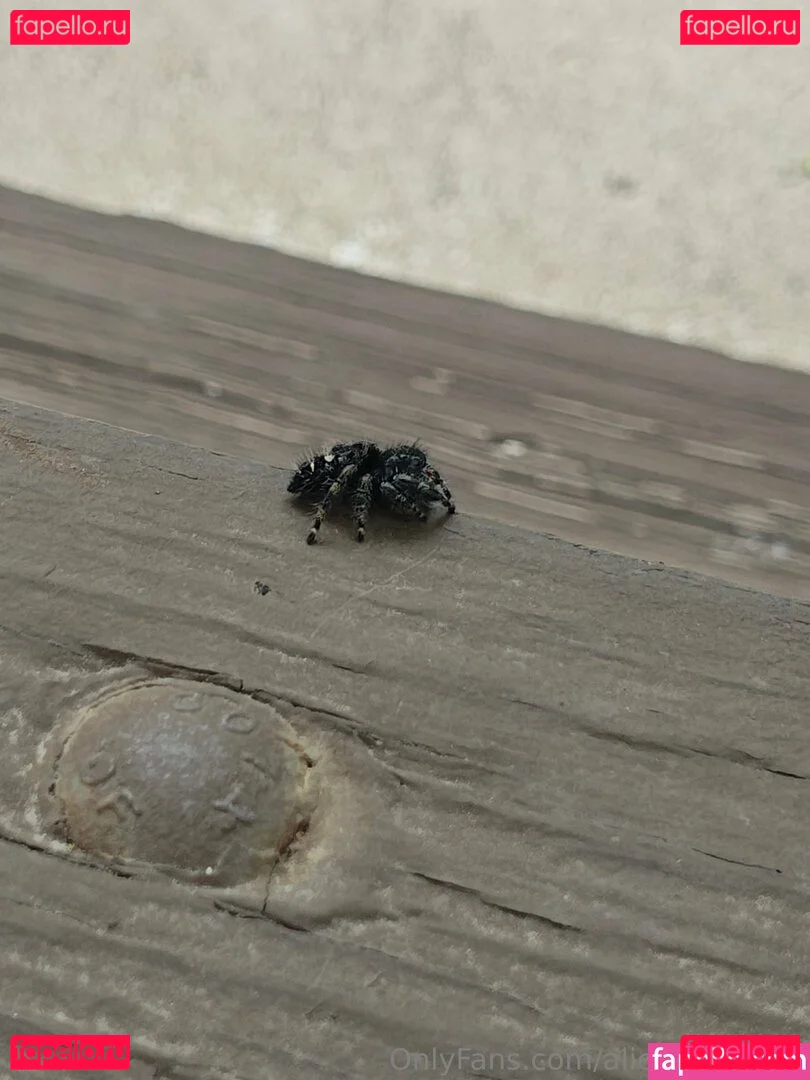 alicelexington Onlyfans Photo Gallery 