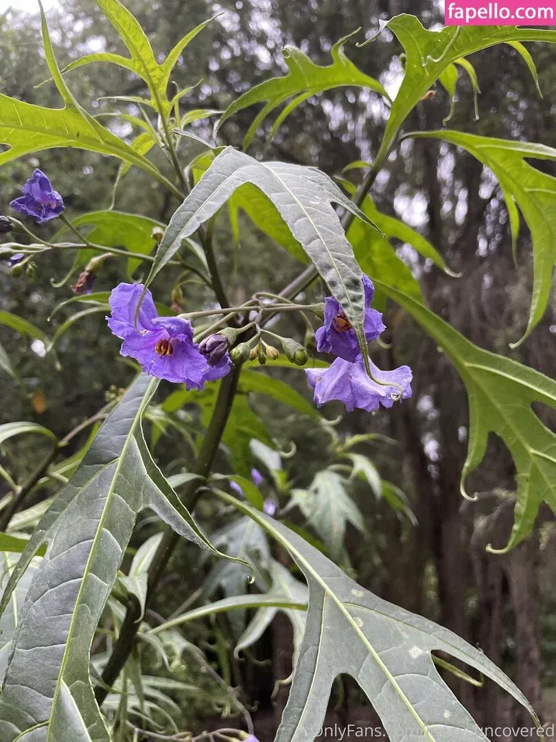 janey_uncovered Onlyfans Photo Gallery 