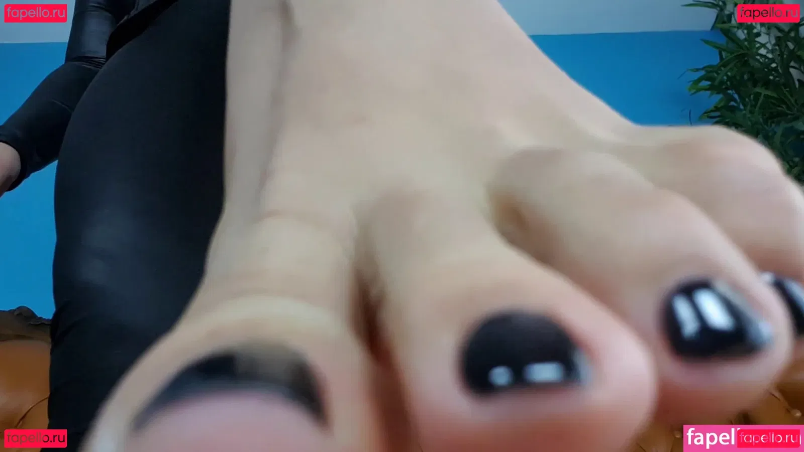 Ezada Sinn Onlyfans Photo Gallery 