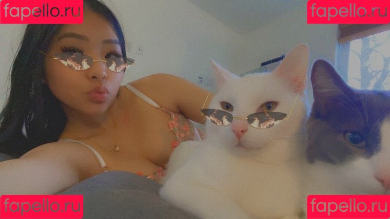 Asianonrice Onlyfans Photo Gallery 