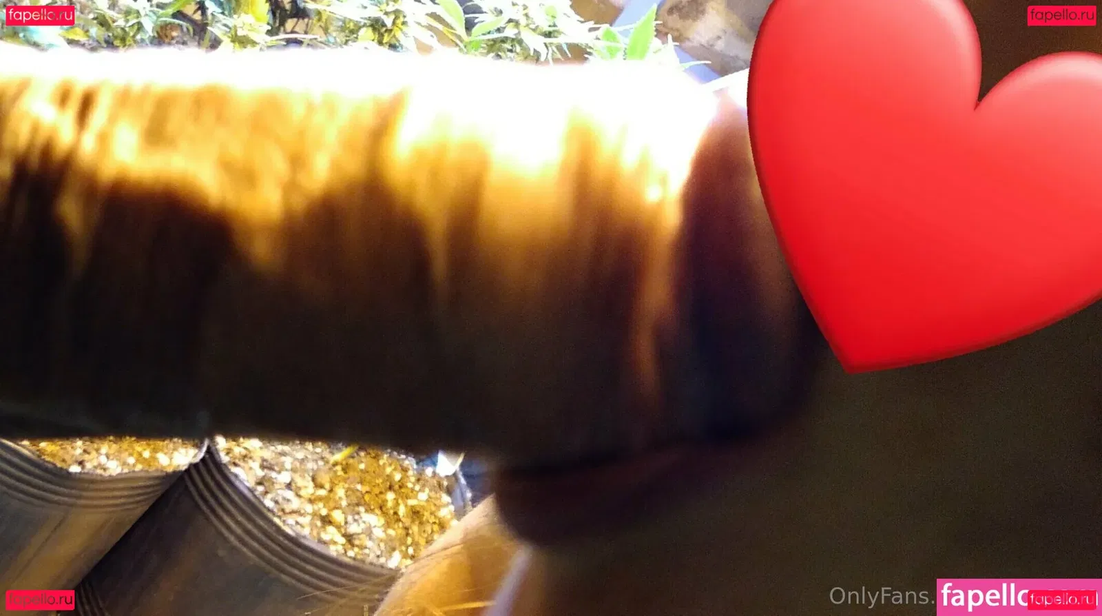 Talita Chef Onlyfans Photo Gallery 