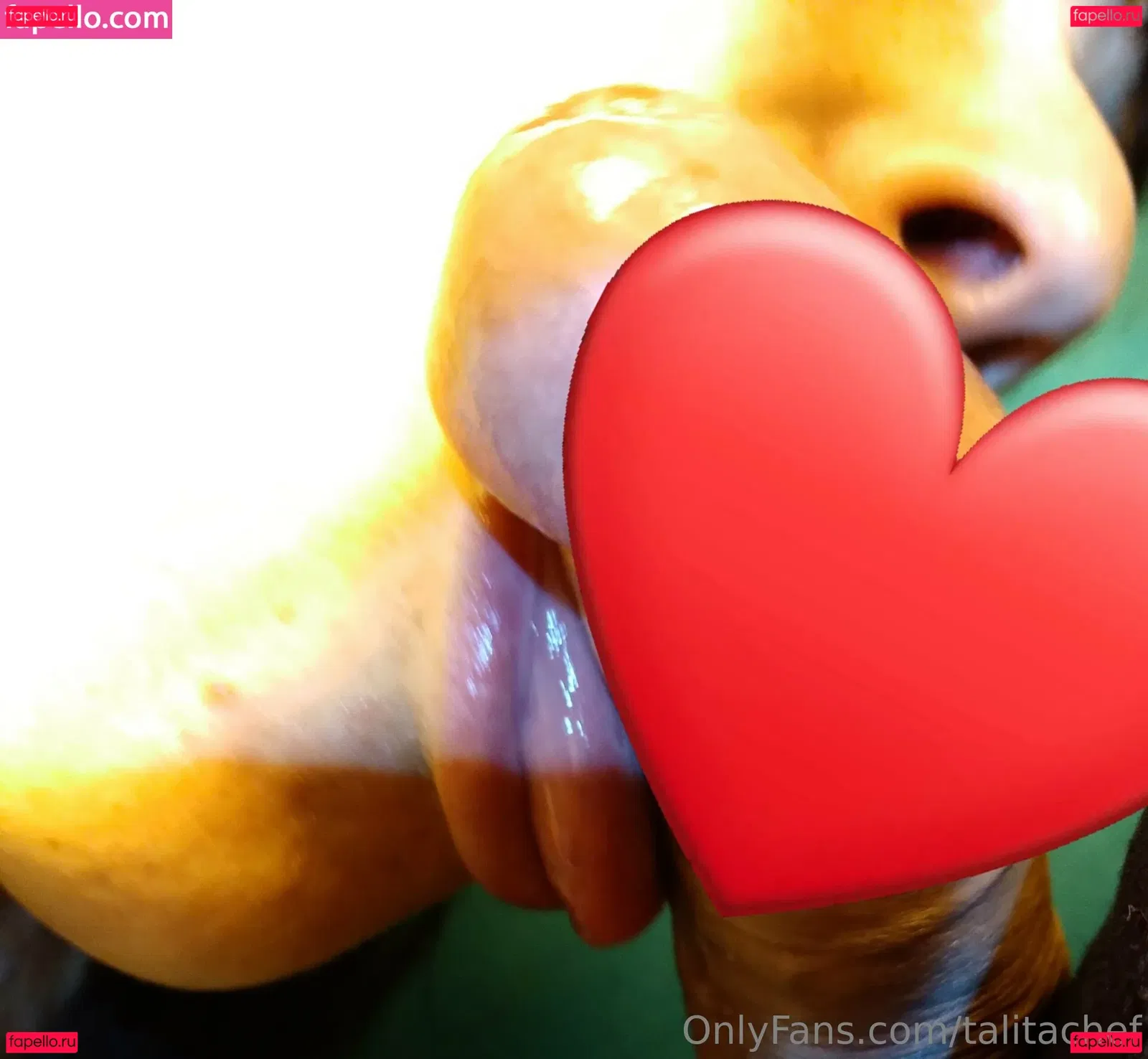 Talita Chef Onlyfans Photo Gallery 