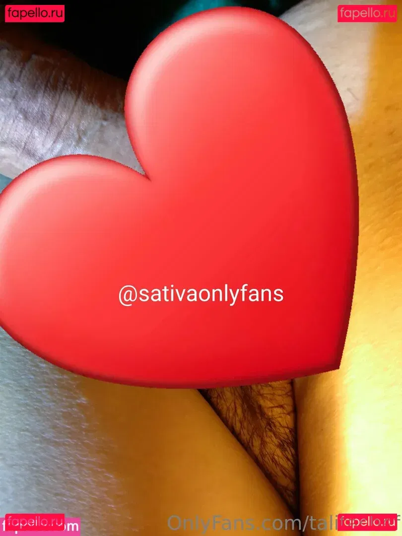 Talita Chef Onlyfans Photo Gallery 