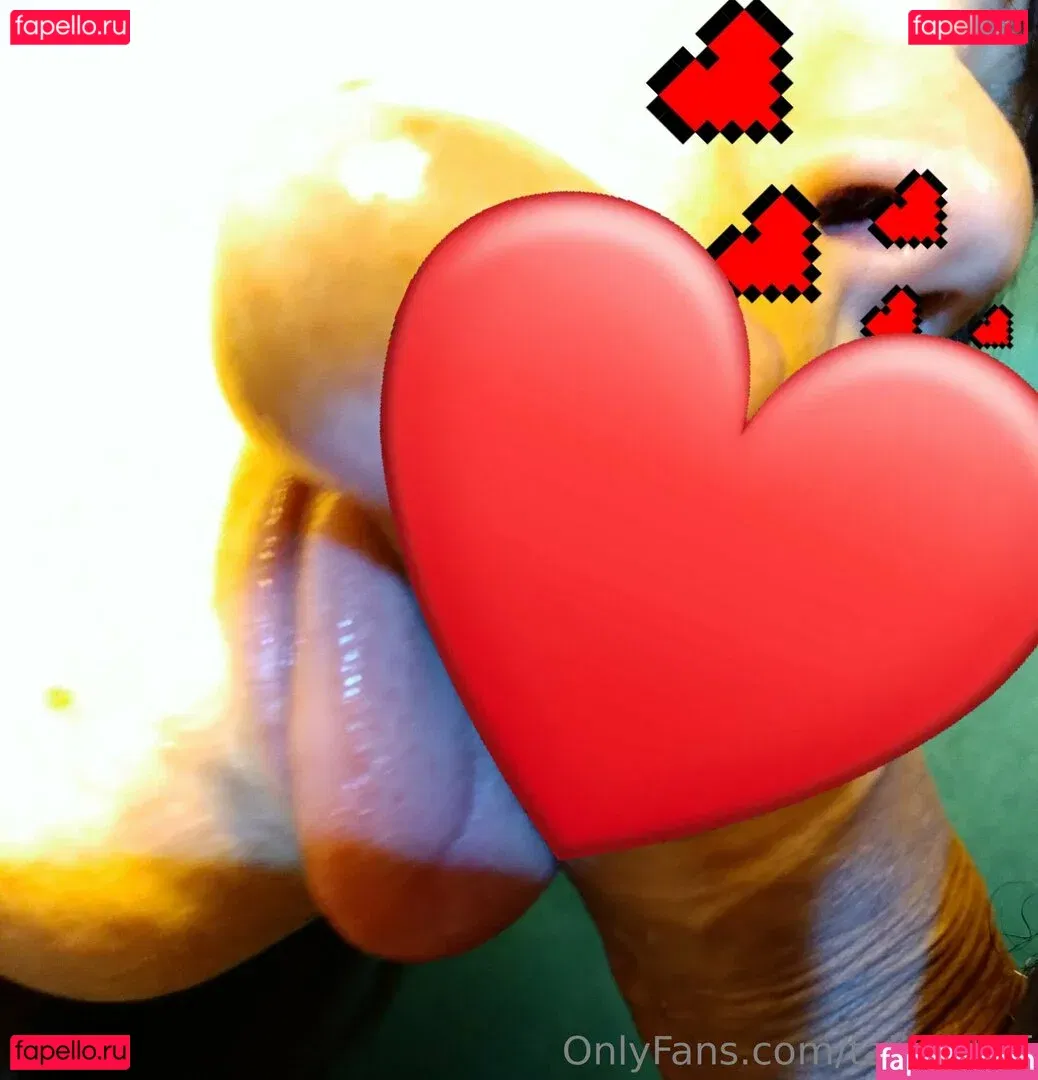 Talita Chef Onlyfans Photo Gallery 