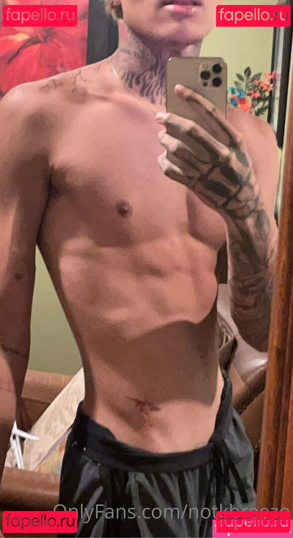 notkbreezo Nude Onlyfans Photo 37