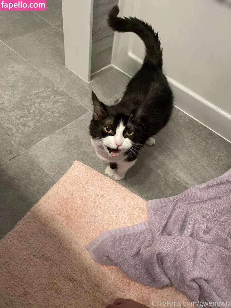 Gwengwiz Onlyfans Photo Gallery 