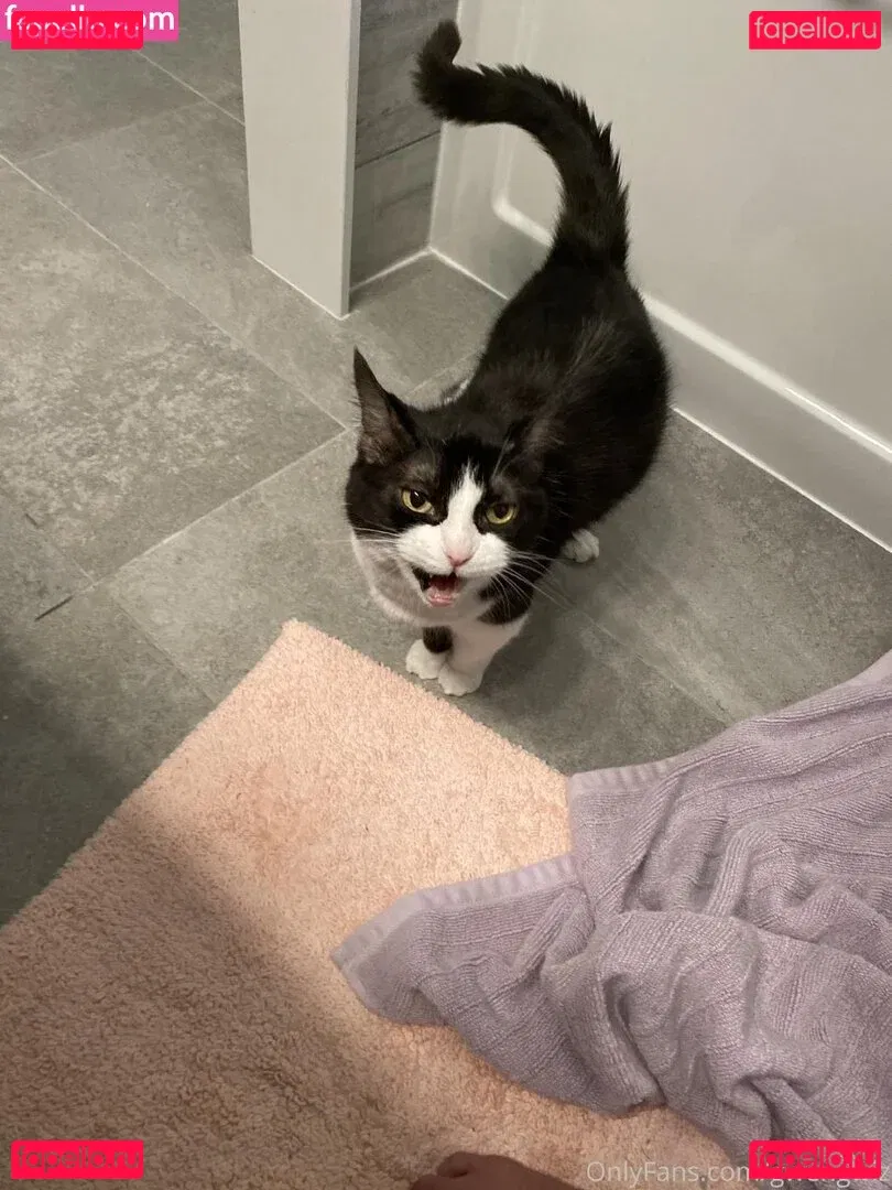 Gwengwiz Onlyfans Photo Gallery 