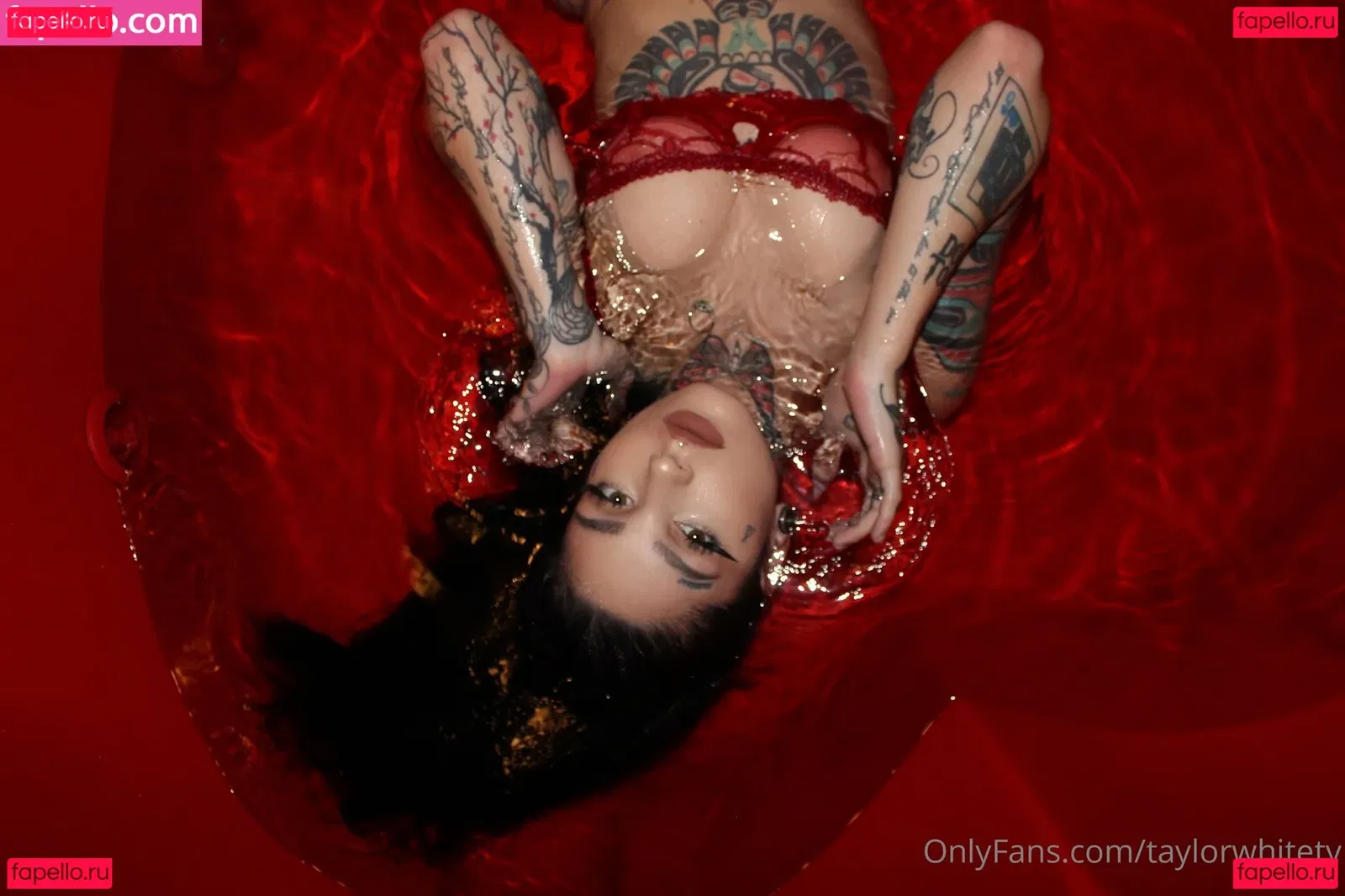 Taylor White Onlyfans Photo Gallery 