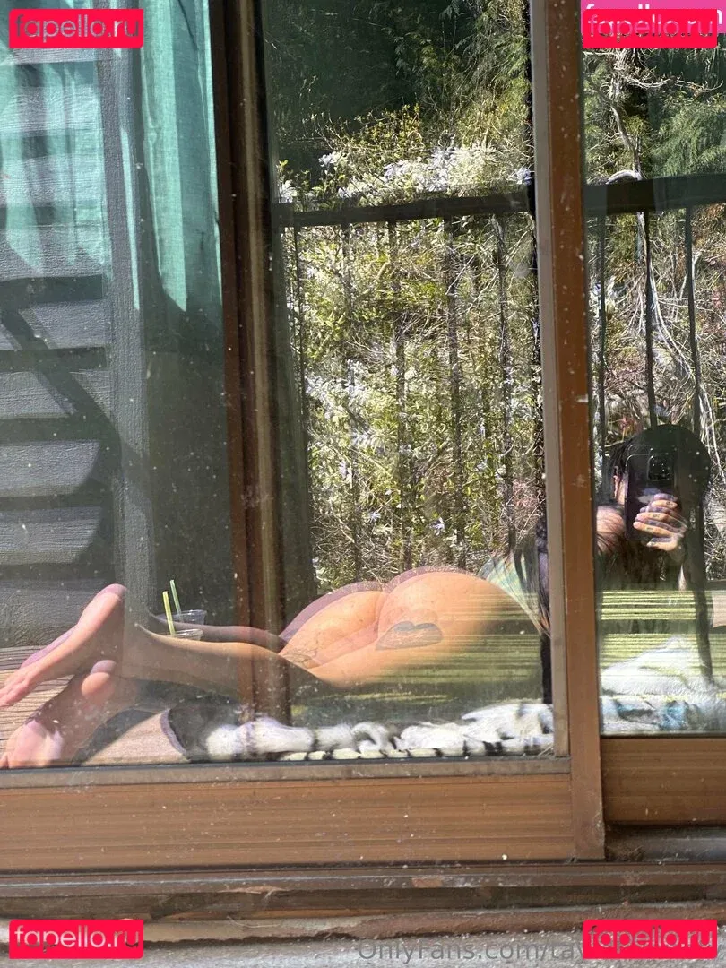 Taylor White Onlyfans Photo Gallery 